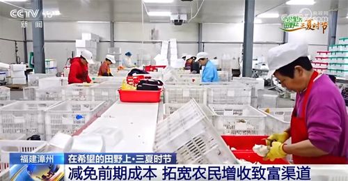 機械 科技 稻鴨共養(yǎng) 移動菇房 智慧 引擎激活鄉(xiāng)村振興新動能