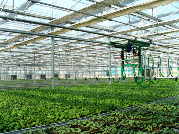 陜西楊凌:深化農(nóng)村金融改革的破冰者