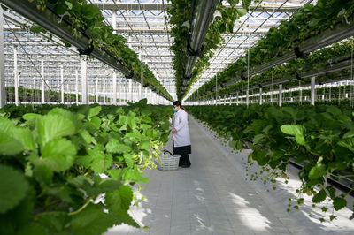 鏡觀中國|"科技范兒"加速農業高質量發展