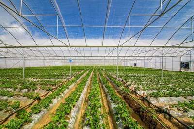 懷化市金融支持農業現代化的問題和解決途徑