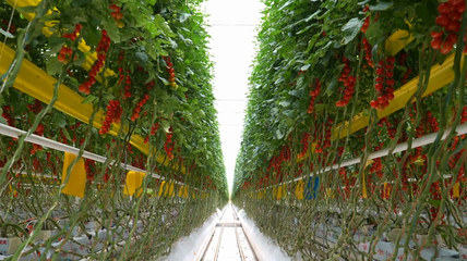 山海情深向未來