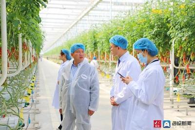 春管春耕進(jìn)行時(shí)|日照農(nóng)技專家溫室大棚開講 現(xiàn)代科技助力蔬菜管理