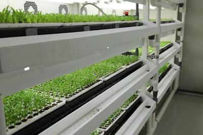 智能設(shè)備助力中國農(nóng)業(yè)&ldquo;智慧&rdquo;轉(zhuǎn)型