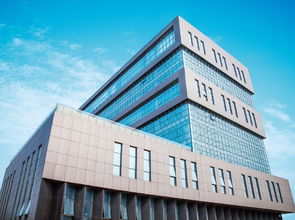 看準(zhǔn)網(wǎng)