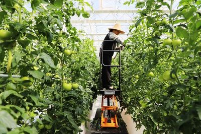新天水-武山縣綜合施策打造優質綠色農產品全產業鏈示范高地