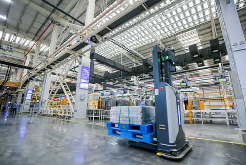 高質(zhì)量發(fā)展調(diào)研行⑧ 人民日報海外版 從 險在荊江 到 美在荊江