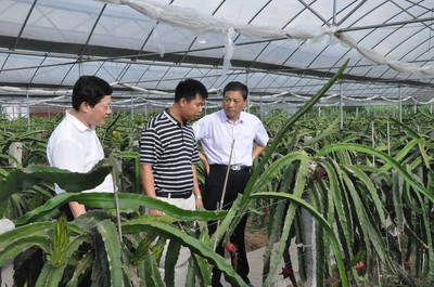 省農業廳廳長胡漢平一行在蘆溪調研_財經_網