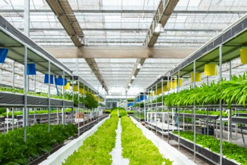 【十九大時光】農業科技創新助力西藏民生改善