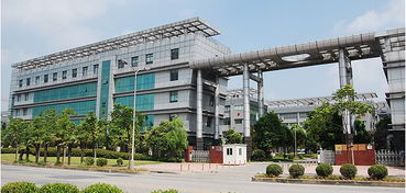 上海808半導體冰點無痛脫毛儀 科技與美膚的完美結合