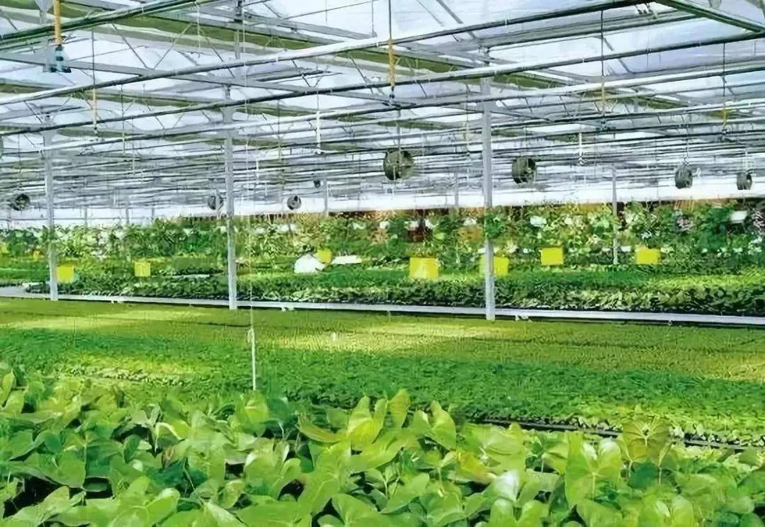 數字農業獎補3000萬 農業農村建設項目中的巨大商機與容業科技的發展機遇