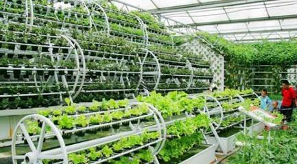 下好京津冀現代農業協同這盤棋——容業科技的創新實踐與展望