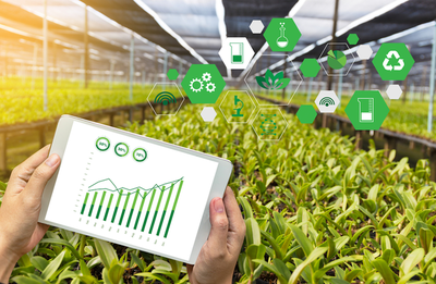 農業農村部 以“互聯網+”推動農產品出村與綠色農業轉型升級