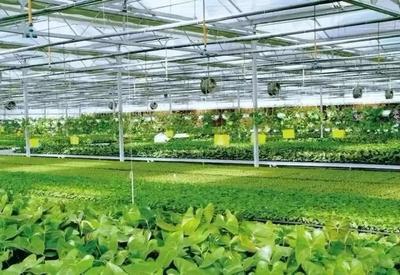 政策解讀 數字農業項目獎補3000萬，助力容業科技創新發展