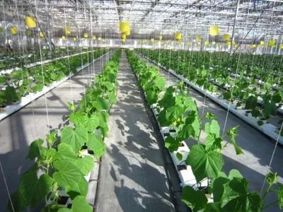 農業也有高新技術產業？國家如何推動農業科技創新