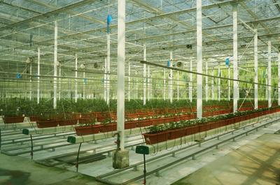 注入動(dòng)能 激發(fā)活力 相城區(qū)農(nóng)業(yè)產(chǎn)業(yè)化發(fā)展“蹄疾步穩(wěn)”的容業(yè)科技實(shí)踐